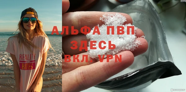 мяу мяу мука Каменногорск