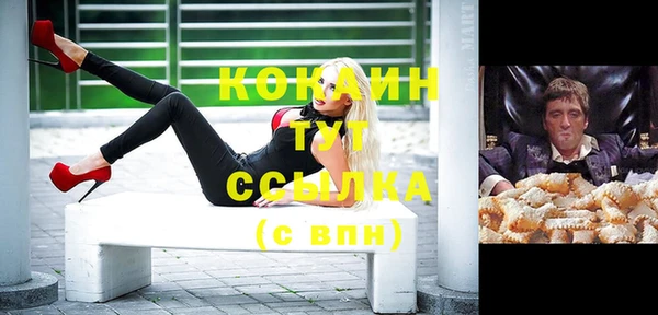 spice Каменка