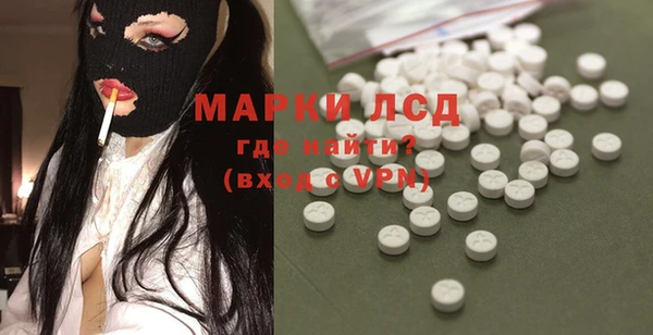 spice Каменка